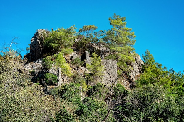 Rovine di antiche mura della fortezza sui pendii boscosi della montagna nell'antica città di Olimpo, Turchia