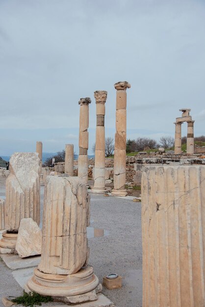 Rovine di Efeso è un'antica città nella regione turca dell'Egeo distrutta da un terremoto