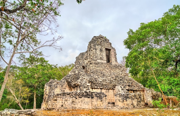 Rovine di una piramide Maya nel sito di Chicanna a Campeche, Messico