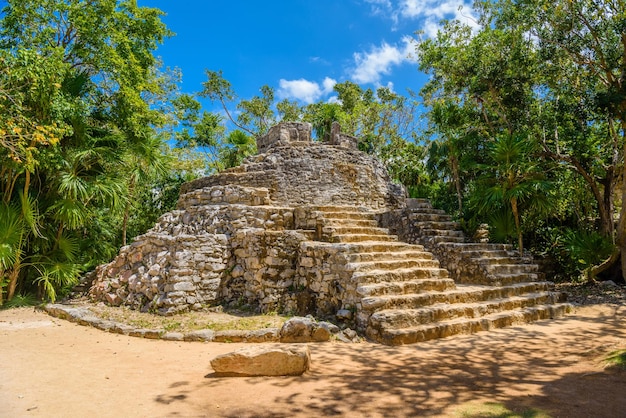 Rovine Maya all'ombra degli alberi nella foresta tropicale della giungla Playa del Carmen Riviera Maya Yu atan Messico