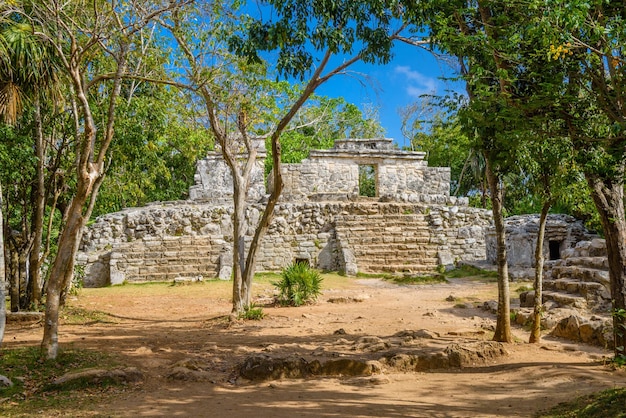 Rovine Maya all'ombra degli alberi nella foresta tropicale della giungla Playa del Carmen Riviera Maya Yu atan Messico