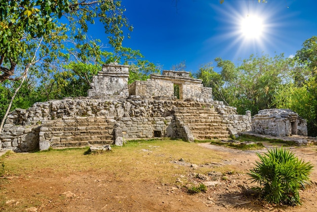 Rovine Maya all'ombra degli alberi nella foresta tropicale della giungla Playa del Carmen Riviera Maya Yu atan Messico