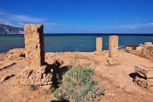 Rovine romane di pietra e sabbia in Algeria