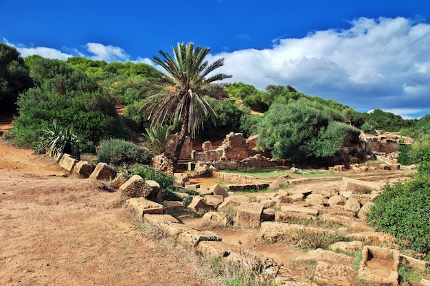 Rovine romane di Tipaza di pietra e sabbia in Algeria, Africa