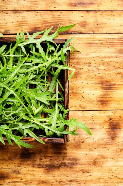 Rucola fresca verde o foglia di rucola in scatola di legno. Insalata di rucola