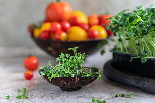 Rucola microgreen e diversi tipi di pomodori. Concetto di raccolto biologico. Uno stile di vita sano.