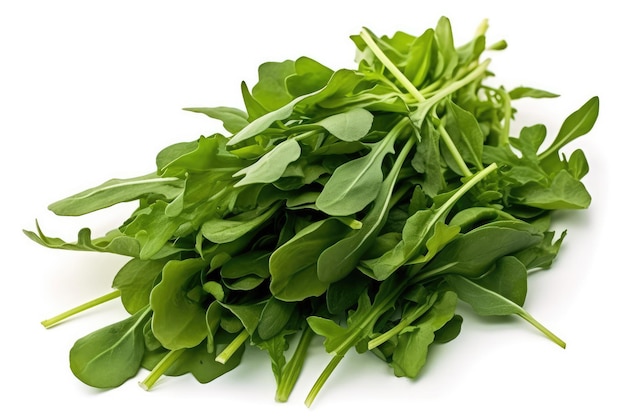 Rucola Su Uno Sfondo Bianco AI Generativo