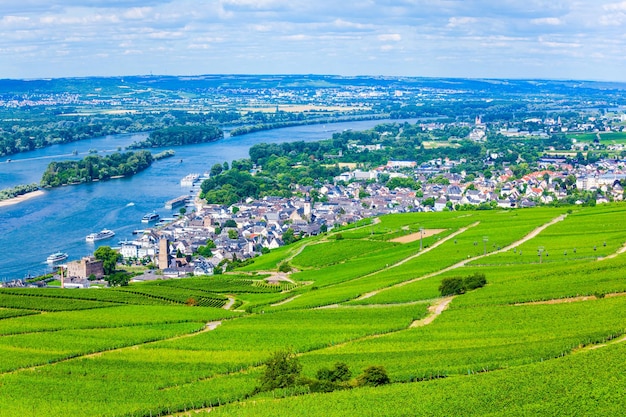 Rudesheim am Rhein Vigneti Germania