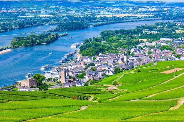 Rudesheim am Rhein Vigneti Germania