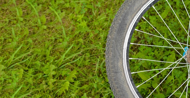 Ruota di bicicletta su erba verde sul prato Dettagli di una bici sportiva su uno sfondo estivo Vendita di pezzi di ricambio per biciclette