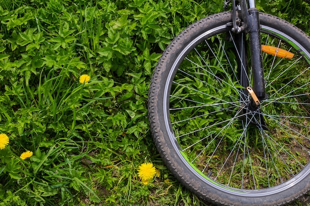 Ruota di bicicletta su erba verde