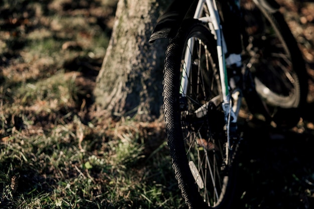 Ruota di una mountain bike sportiva