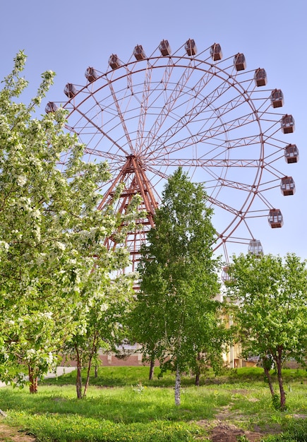 Ruota panoramica nel giardino primaverile L'argine dei meli in fiore del fiume Ob