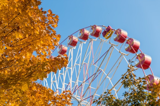 Ruota panoramica nel parco di autunno