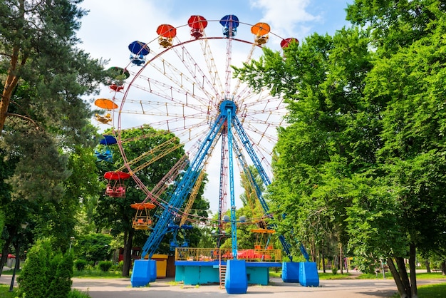 Ruota panoramica nel parco verde nel cielo blu con nuvole