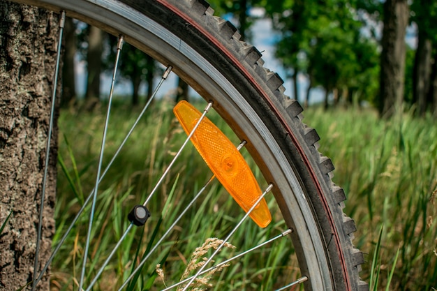 Ruota per bicicletta con riflettore a raggi arancione