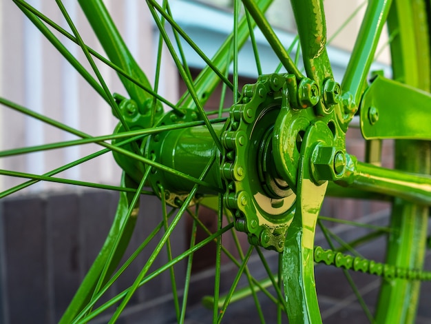 ruota posteriore della bici. Tutta la ruota di bicicletta verde