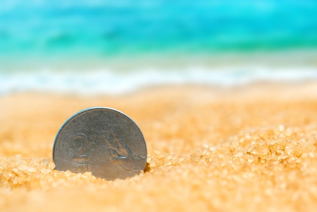 Rupia indiana nella sabbia sullo sfondo della spiaggia e del mare