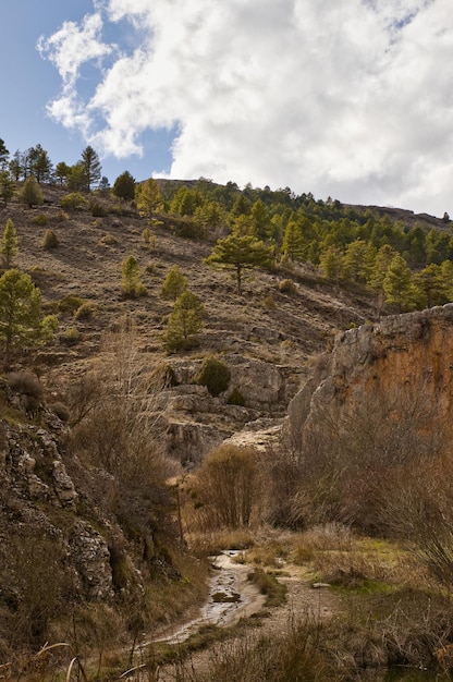 Ruscello che scorre lungo il fianco di una montagna