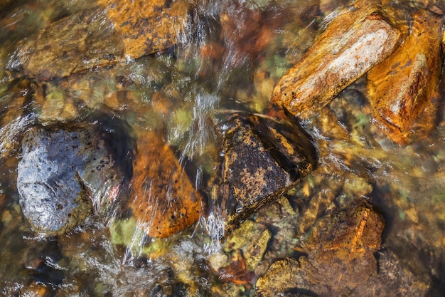 Ruscello con acqua limpida con pietre sul fondo