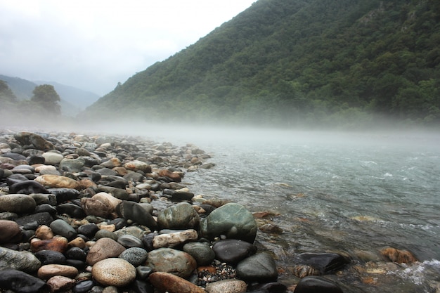 Ruscello di montagna che scorre con acqua trasparente e pietre