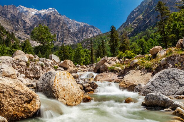 Ruscello di montagna in Himalaya.