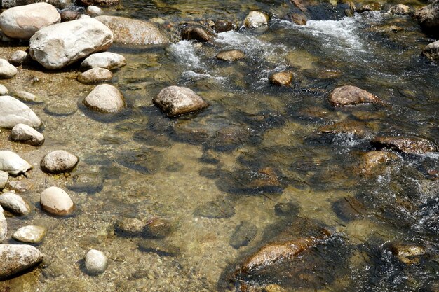 Ruscello di montagna nella stagione estiva