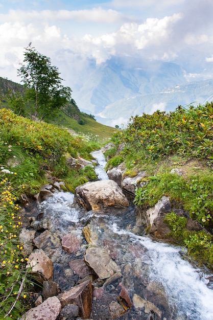 Ruscello di montagna selvaggio tra le pietre nel paesaggio della valle verde