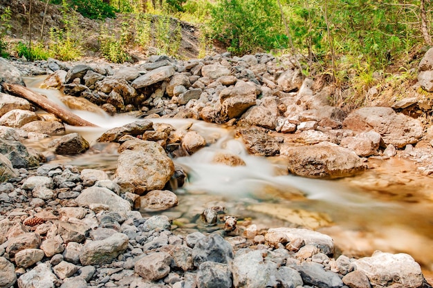 Ruscello di montagna tra le rocce nella foresta movimento sfocato dell'acqua