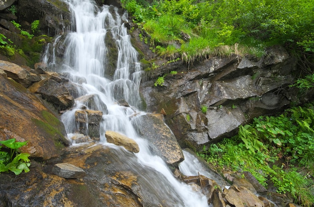 Ruscello di primavera flusso in montagna.