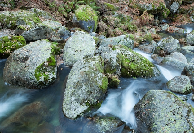 Ruscello e grandi rocce con muschio