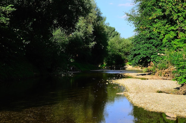 Ruscello idilliaco in natura