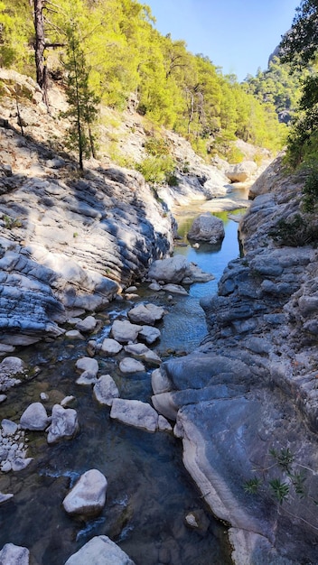 ruscello in montagna