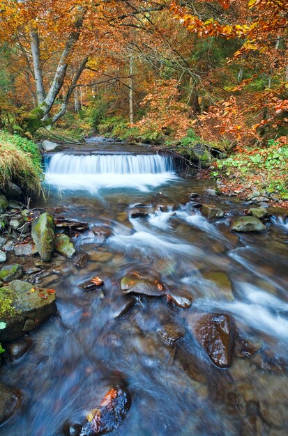 Ruscello roccioso, che attraversa la foresta di montagna d'autunno