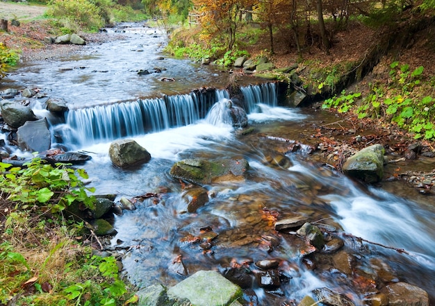 Ruscello roccioso, che attraversa la foresta di montagna d'autunno