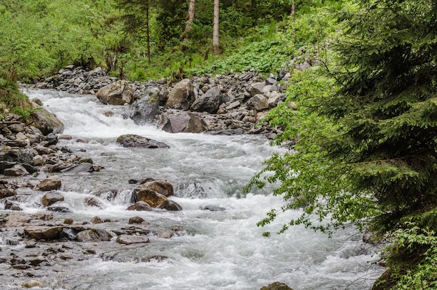 Ruscello selvaggio in montagna