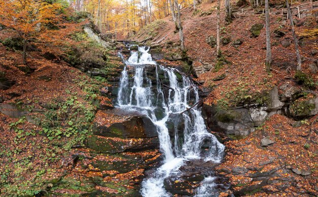 Ruscello stretto che cade dal pendio della montagna nella foresta di autunno