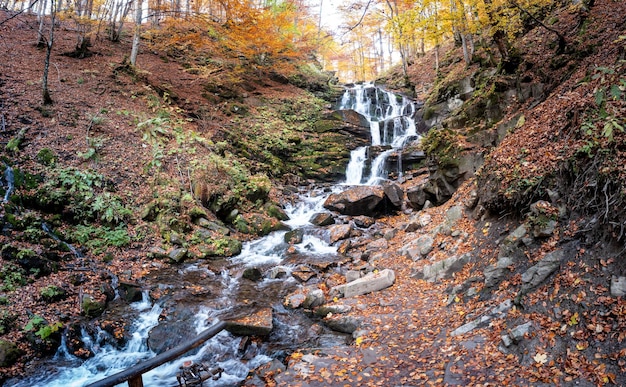 Ruscello stretto che cade dal pendio della montagna nella foresta di autunno