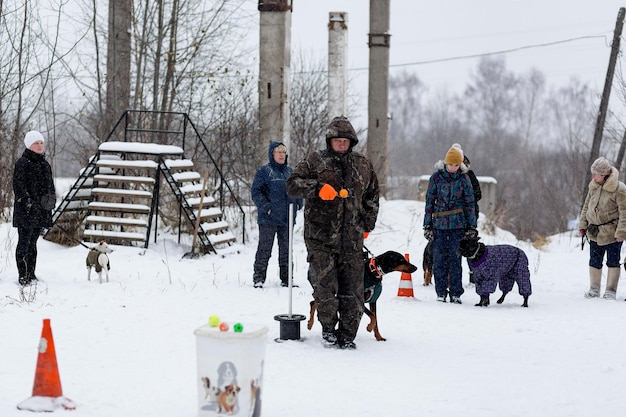 Russia Ivanovo 24 dicembre 2017 un Concorso per cani il divertimento inizia in invernoeditoriale