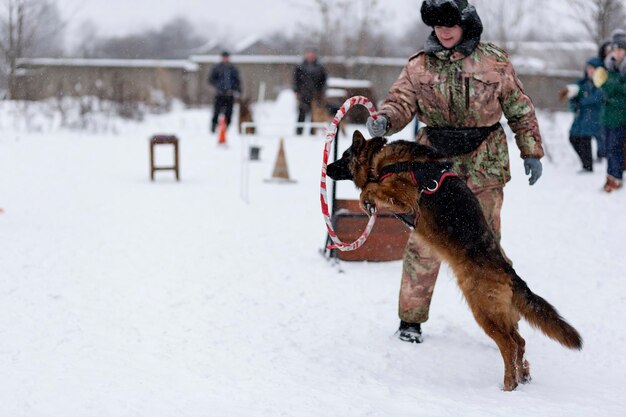 Russia Ivanovo 24 dicembre 2017 un Concorso per cani il divertimento inizia in invernoeditoriale