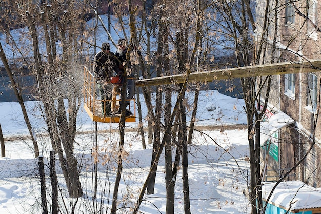 Russia San Pietroburgo 17 marzo 2018 dormiva rami nei cantieri di pulizia dell'editoriale della città