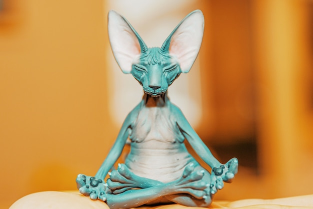 Russia. San Pietroburgo. 20.12.2020. figurina di un gatto nudo che medita seduto nella posizione del loto