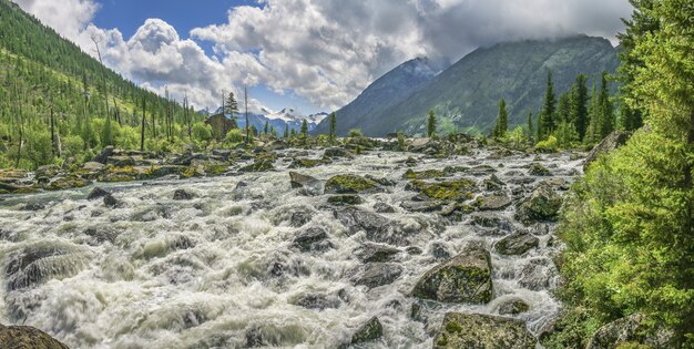 Ruvido fiume di montagna scorre tra le pietre, nuvoloso giorno d'estate