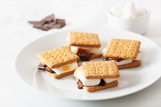 S'mores marshmallow fatti in casa con cioccolato sui cracker