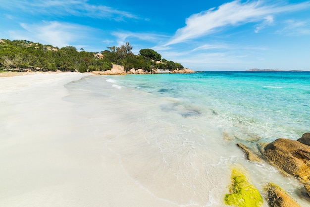 Sabbia bianca nella spiaggia di Capriccioli Sardegna