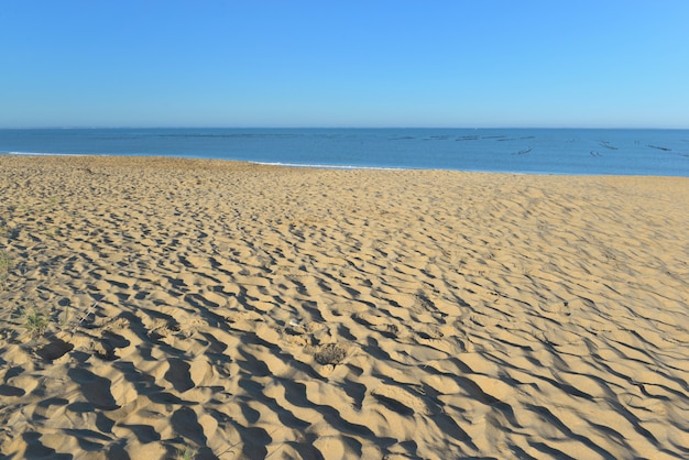 Sabbia della spiaggia dall&#39;oceano Altantic in Francia