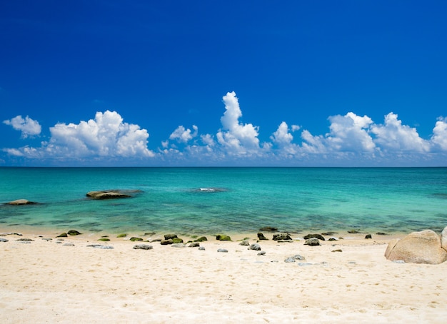 Sabbia della spiaggia