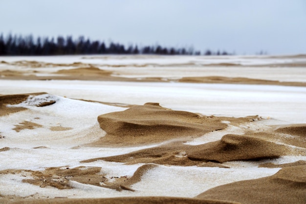 Sabbia di mare con neve bianca, cielo grigio e alberi verde scuro