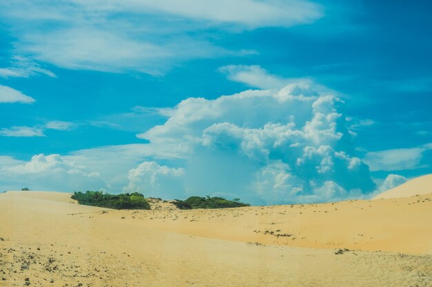 Sabbia gialla nel deserto, Mui Ne, Vietnam