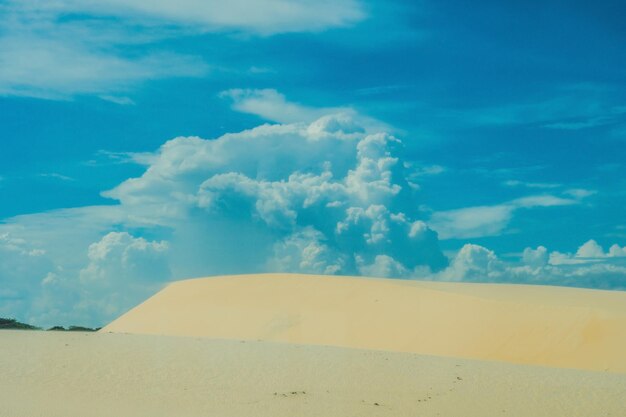 Sabbia gialla nel deserto, Mui Ne, Vietnam